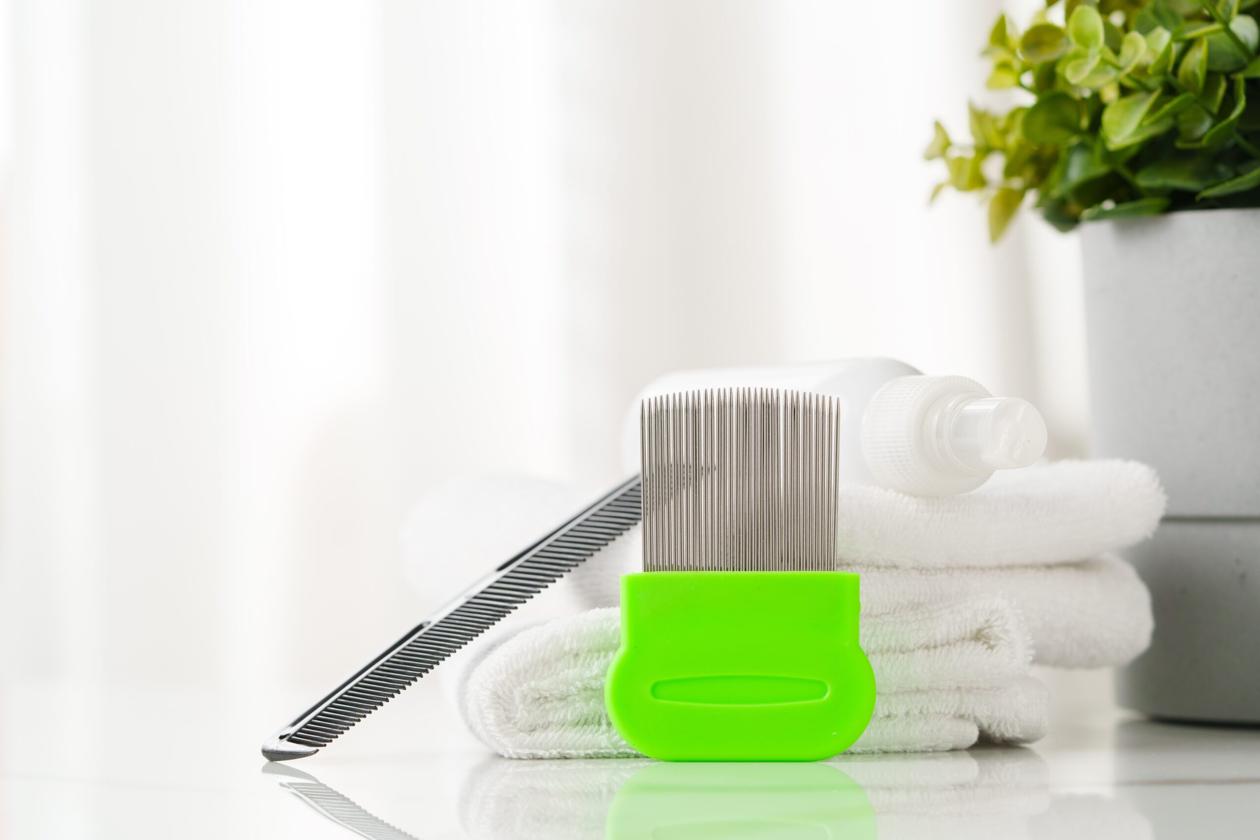 Bottles of Lice Treatment Products and a Comb on a Countertop