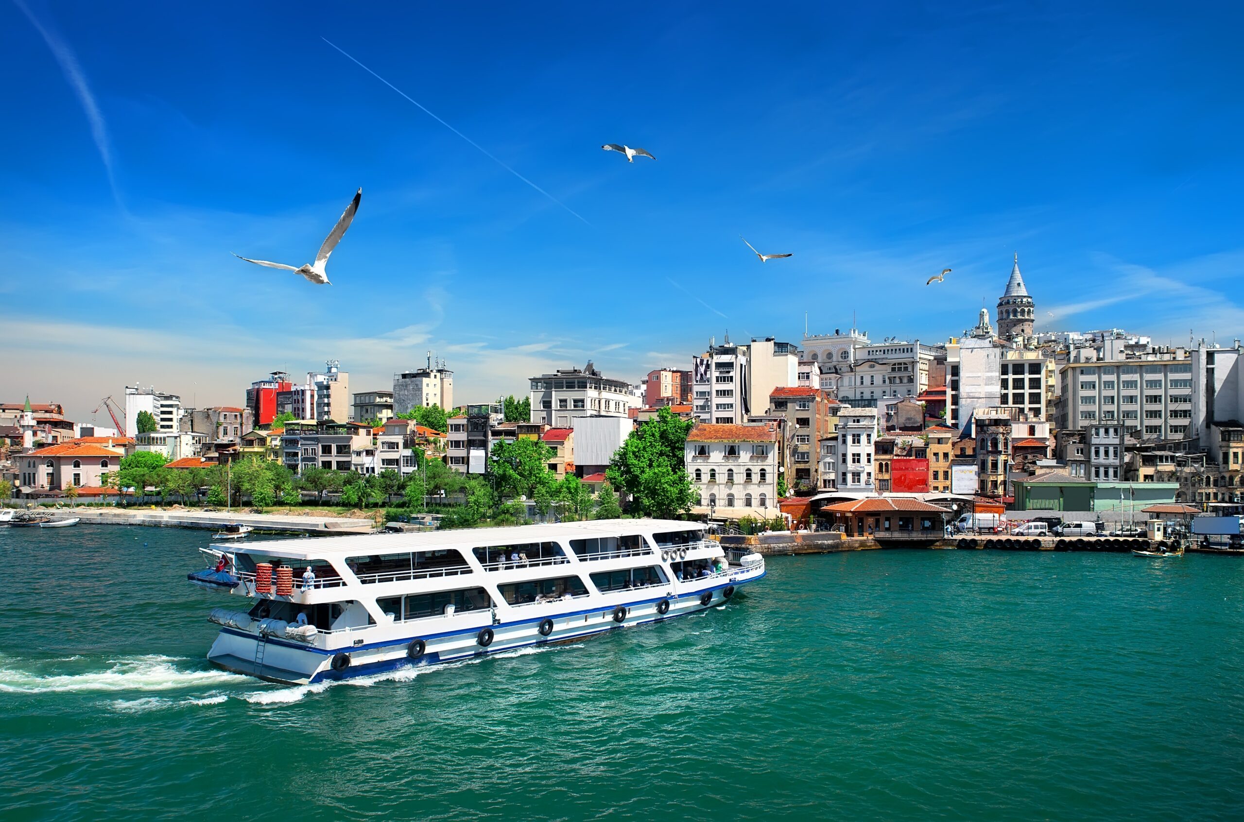 Cityscape with Galata Tower