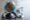 Selective focus image of globe, toy plane and stethoscope.