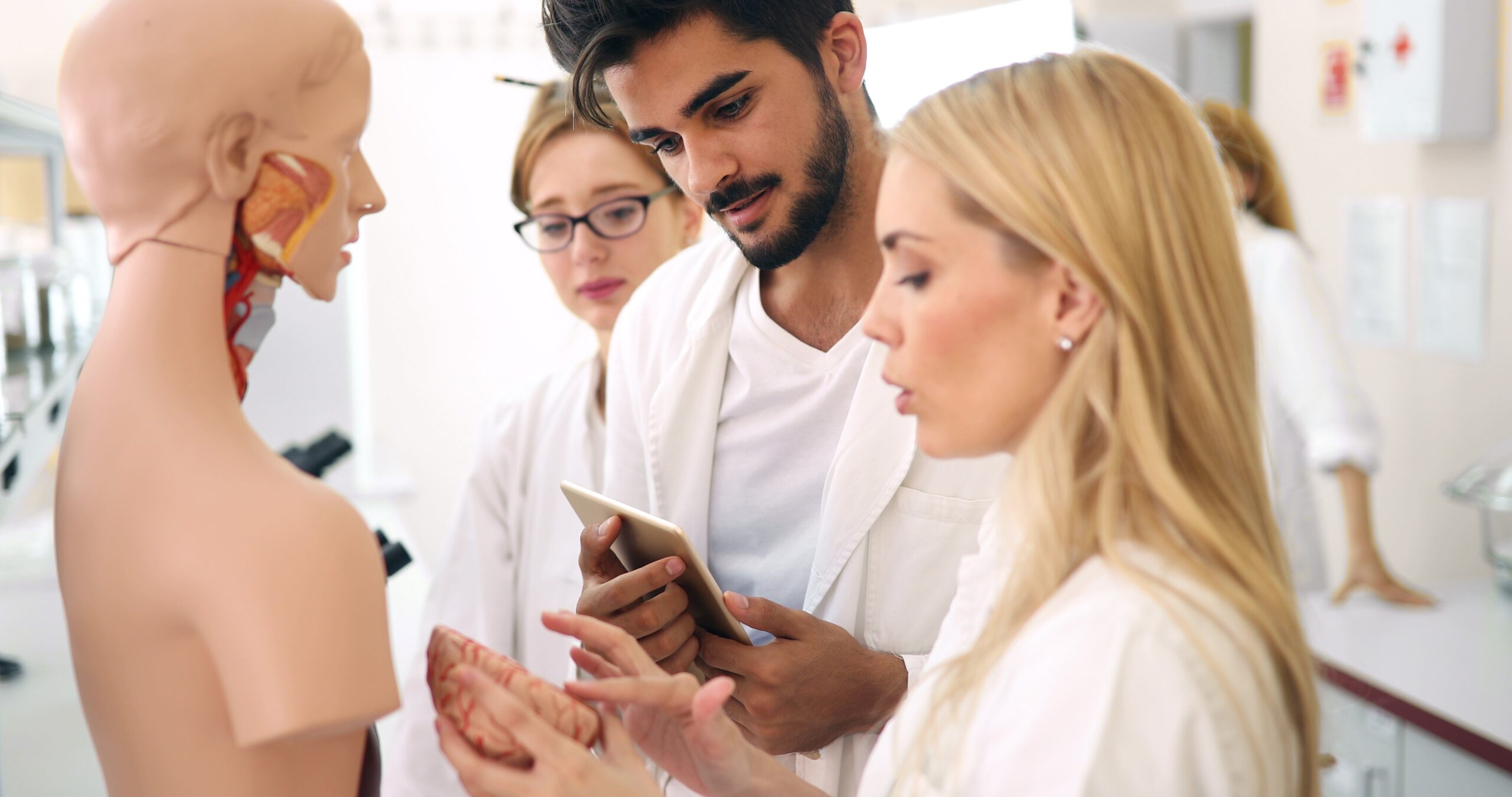 Medizinstudenten untersuchen anatomisches Modell im Klassenzimmer