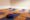 Variety of yoga mats on a hardwood floor with the Buddha statue in the corner